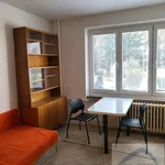 Rent 1 bedroom apartment of 23 m² in Brno