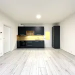 Rent 2 bedroom apartment of 48 m² in České Budějovice