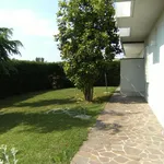 Rent 1 bedroom apartment of 40 m² in Vicenza