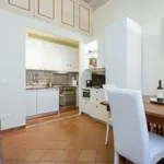 Rent 1 bedroom apartment of 45 m² in Florence