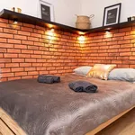 Rent 1 bedroom apartment in warsaw