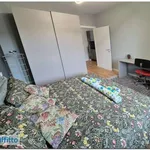 Rent 2 bedroom apartment of 60 m² in Turin