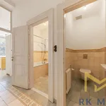 Rent 3 bedroom apartment of 99 m² in Praha