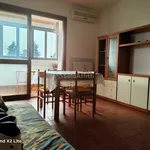 Rent 2 bedroom apartment of 60 m² in Trezzano Rosa