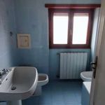 Rent 3 bedroom apartment of 80 m² in Rome