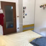 Rent 3 bedroom apartment of 80 m² in Turin