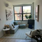 Rent 1 bedroom apartment of 46 m² in New York City