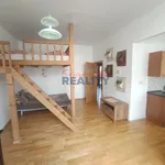 Rent 1 bedroom apartment of 50 m² in České Budějovice