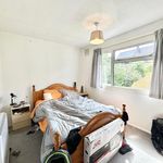 Rent 4 bedroom house in Winchester