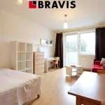 Rent 1 bedroom apartment of 38 m² in Brno