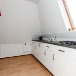 Rent 2 bedroom apartment of 150 m² in Hoorn