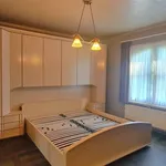 Rent 4 bedroom house in LICHTAART