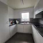 Huur 1 slaapkamer appartement in Deinze