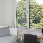 Rent a room in brussels