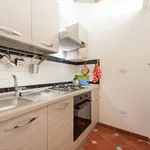 Rent 1 bedroom apartment in Florence