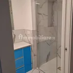 Rent 2 bedroom apartment of 53 m² in Turin