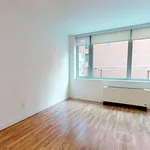 Rent 1 bedroom apartment of 39 m² in New York City