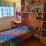 Rent 3 bedroom apartment in Lisbon