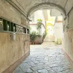 Rent 2 bedroom apartment of 55 m² in Naples