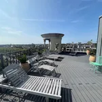 Rent 1 bedroom apartment in Antwerpen