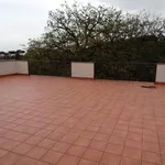 Rent 5 bedroom apartment of 170 m² in Roma