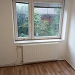 Rent 1 bedroom apartment in Chrudim