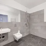 Rent 2 bedroom apartment of 60 m² in Berlin