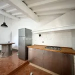 Rent 3 bedroom apartment of 60 m² in Florence