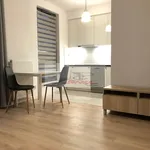 Rent 1 bedroom apartment of 29 m² in Warsaw