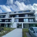 Rent 2 bedroom apartment in Ardooie