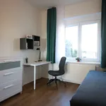 Rent a room of 270 m² in Prague