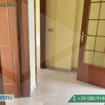 Rent 3 bedroom apartment of 85 m² in Bari