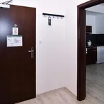 Rent 2 bedroom apartment of 45 m² in Brno