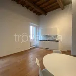 Rent 1 bedroom apartment of 30 m² in Firenze