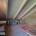 Rent 3 bedroom apartment of 100 m² in Turin