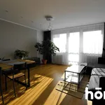 Rent 4 bedroom apartment of 78 m² in Gliwice