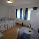 Rent 1 bedroom house of 200 m² in Doksy