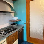 Rent 5 bedroom apartment of 137 m² in Padova