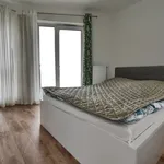 Rent 4 bedroom apartment of 120 m² in Kielce