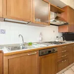 Rent 1 bedroom apartment of 70 m² in bologna