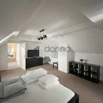 Rent 3 bedroom apartment of 126 m² in Prague