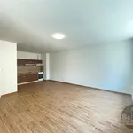 Rent 1 bedroom apartment of 65 m² in Capital City of Prague