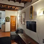 Rent 1 bedroom apartment of 35 m² in Firenze