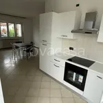 Rent 5 bedroom apartment of 70 m² in Pergine Valsugana