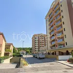 Rent 3 bedroom apartment of 68 m² in Pesaro