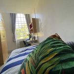 Rent a room in North East England