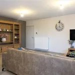 Rent 2 bedroom apartment in Snellegem