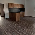 Rent 3 bedroom apartment in Ústí nad Labem