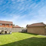 Rent 3 bedroom house in North East England