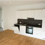 Rent 2 bedroom apartment of 42 m² in Graz